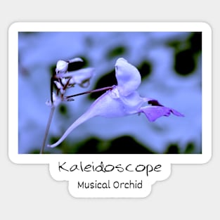 Kaleidoscope Diary Musical Orchid Sticker